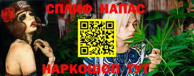 прущие крисы Донской