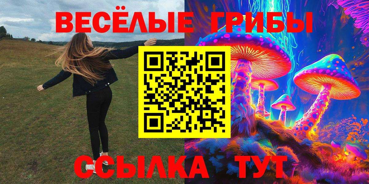Кизилюрт  где можно купить   Вход с VPN  Галлюциногенные грибы прущие грибы 